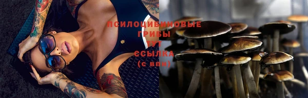 таблы Алексин