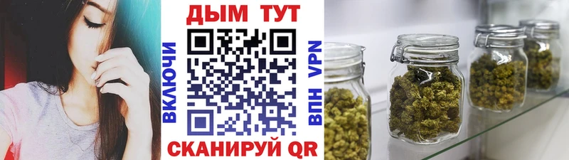 Бошки Шишки планчик  гидра ТОР  Алупка  сколько стоит 